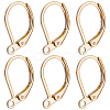 100Pcs 316L Surgical Stainless Steel Leverback Earring Findings STAS-BBC0010-61G-1