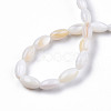 Natural Freshwater Shell Beads Strands X-SHEL-N026-212-A01-3