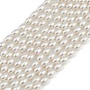 Electroplated Shell Pearl Beads Strands BSHE-H113-06C-06-1