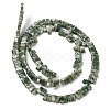 Natural Green Spot Jasper Beads Strands G-Z045-A02-01-3