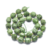Natural Diopside Beads Strands G-K303-A10-12mm-2