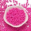 Baking Paint Pearlized Glass Seed Beads SEED-C001-04A-04-2