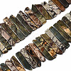 Natural Picasso Stone/Picasso Jasper Beads Strands G-S355-19-01-1