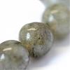 Natural Labradorite Round Bead Strands G-E334-6mm-19-4