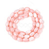 Natural Trochus Shell Beads Strands SHEL-K006-19-01F-2