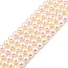 Baking Painted Pearlized Glass Pearl Round Bead Strands PEAR-H019-02C-07-1