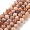 Round Natural Multi-Moonstone Beads Strands G-I176-09-8mm-2