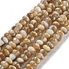 Natural Freshwater Shell Beads Strands BSHE-G038-05-1