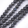 Natural Black Labradorite Beads Strands X-G-S333-6mm-021A-1