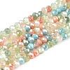 Electroplate Glass Beads Strands X-GLAA-T023-A16-07-1