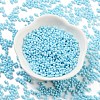 Baking Paint Glass Seed Beads X1-SEED-A033-05P-2