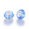 Handmade Glass European Beads X-GPDL25Y-22-2