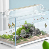 Stone Display Decorations AJEW-WH0270-416-4