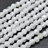 Natural Rainbow Moonstone Beads Strands G-O186-D02-1