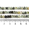 Natural Prehnite Beads Strands G-B088-E16-04-5
