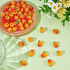 Resin Orange Display Decorations DJEW-ME0001-03B-4