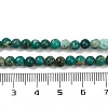 Dyed Natural Regalite/Imperial Jasper/Sea Sediment Jasper Beads Strands G-B124-C04-07-4