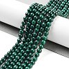 Natural Malachite Beads Strands G-I001-4mm-01-1