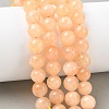 Dyed Natural Malaysia Jade Beads Strands G-G021-02C-23-5