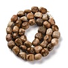 Natural Picture Jasper Beads Strands G-G146-A01-02-3