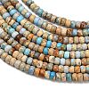 Dyed Natural Imperial Jasper Beads Strands G-P600-A01-01C-4