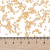 TOHO Round Seed Beads X-SEED-TR11-0950-4
