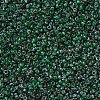 MIYUKI Round Rocailles Beads X-SEED-G007-RR4507-3