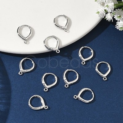 SHEGRACE Brass Hoop Earrings Findings XGR0158P-94P-1