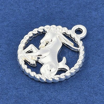 Twelve Constellations Alloy Pendants PALLOY-Q006-01C-S-1
