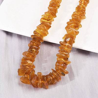 Natural Amber Chip Beaded Necklaces NJEW-L466-03A-1