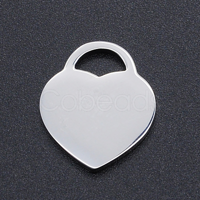 Non-Tarnish 304 Stainless Steel Pendants STAS-N090-T857-1