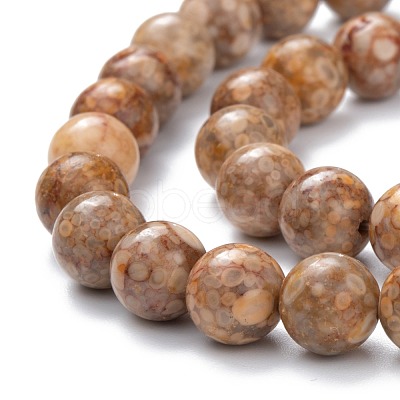Natural Maifanite/Maifan Stone Beads Strands G-P451-01A-C-1
