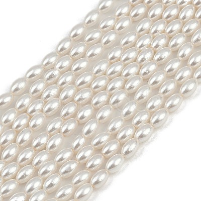 Electroplated Shell Pearl Beads Strands BSHE-H113-06C-06-1