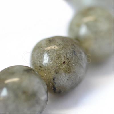 Natural Labradorite Round Bead Strands G-E334-6mm-19-1