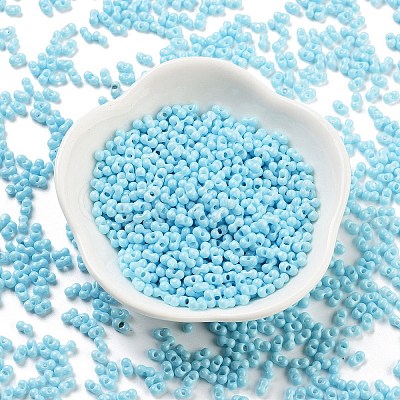 Baking Paint Glass Seed Beads X1-SEED-A033-05P-1