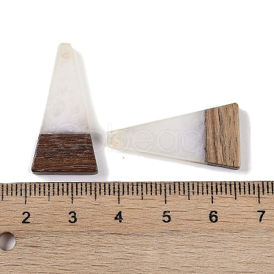Resin & Wood Pendants WOOD-F015-03H-1