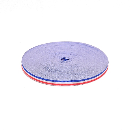 Polyester Braid Ribbon OCOR-TAC0027-16-1