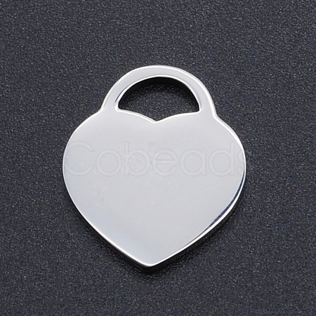 Non-Tarnish 304 Stainless Steel Pendants STAS-N090-T857-1