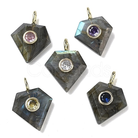 Natural Labradorite Faceted Pendants G-F819-03G-06-1