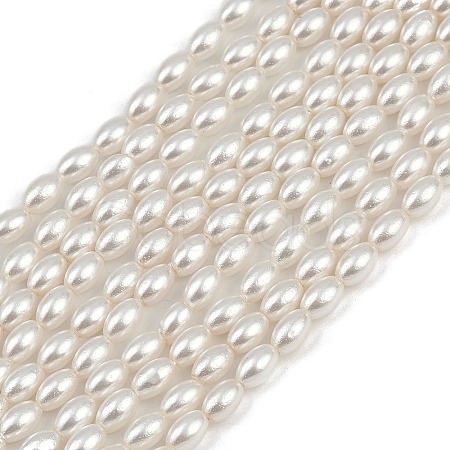 Electroplated Shell Pearl Beads Strands BSHE-H113-06C-06-1