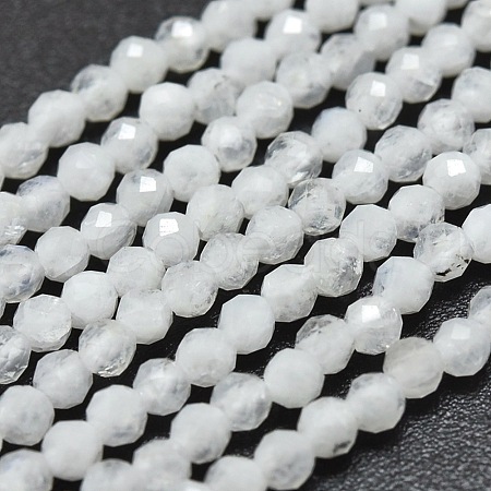 Natural Rainbow Moonstone Beads Strands G-O186-D02-1