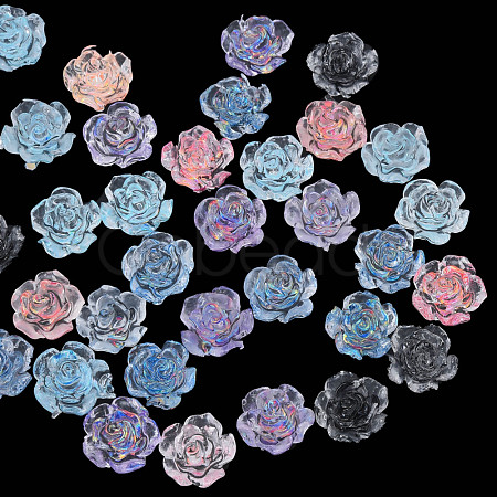 Transparent Resin Cabochons CRES-N030-014-1