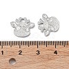 Rhodium Plated 925 Sterling Silver Charms STER-C003-13P-3