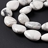 Natural Howlite Beads Strands G-L242-13-5