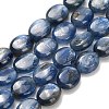Natural Kyanite Beads Strands G-H335-D01-8x10mm-A-2