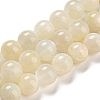 Natural White Moonstone Beads Strands G-F306-05AB-10mm-01-2