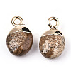 Natural Picture Jasper Charms G-N326-58D-3