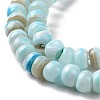 Natural Cultured Freshwater Shell Beads Strands SHEL-F002-01B-4