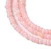 Natural Freshwater Shell Beads Strands SHEL-P017-01A-09-3