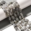 Natural Labradorite Beads Strands G-I377-A21-1